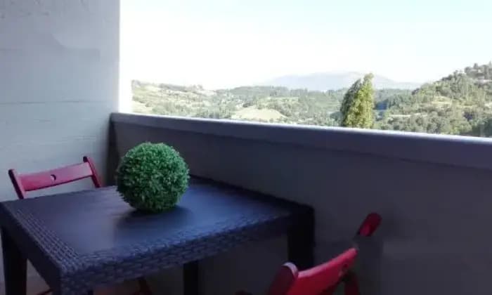 Rexer-Urbino-Camera-per-studenti-in-affitto-Urbino-SALONE