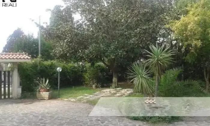 Rexer-Nettuno-Villa-GIARDINO