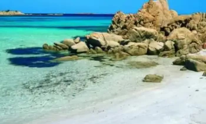 Rexer-Viddalba-Sardegna-mare-ALTRO