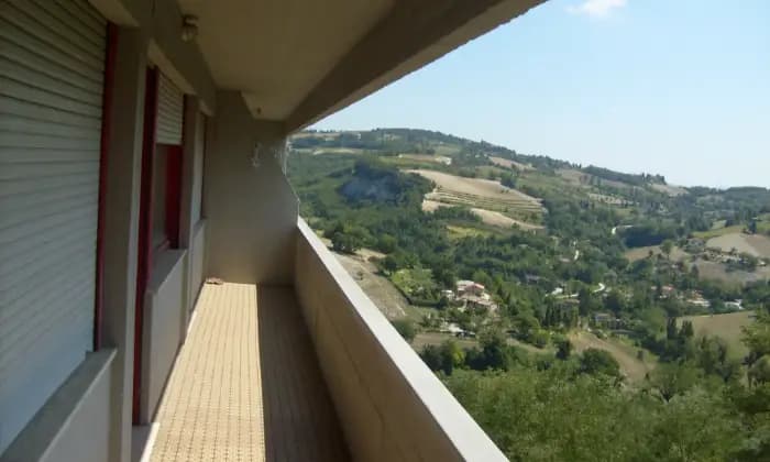 Rexer-Urbino-Urbino-zona-ospedale-condomini-pineta-CUCINA