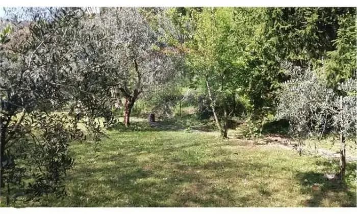 Rexer-Cittaducale-Rustico-Casale-in-Vendita-a-Villagrotti-frazione-di-Cittaducale-ALTRO