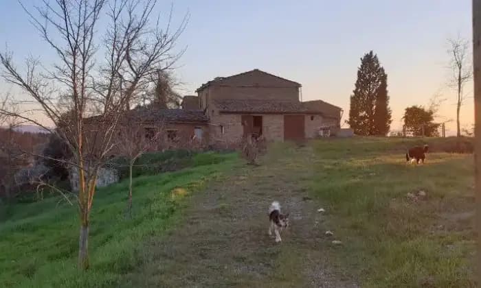 Rexer-Asciano-Propriet-rustica-in-vendita-in-strada-del-fornacino-ALTRO