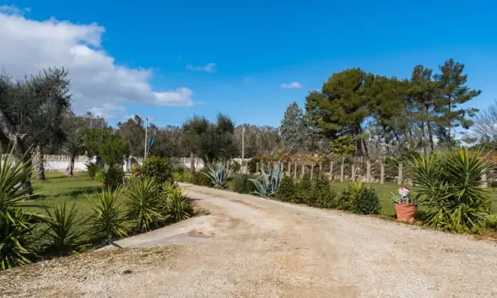 Rexer-Francavilla-Fontana-Vendesi-villa-a-Francavilla-Fontana-BR-GIARDINO