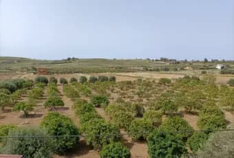 Rexer-Agrigento-GIARDINO