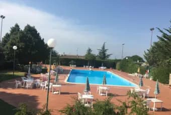 Rexer-Toritto-Vera-occasione-ALTRO