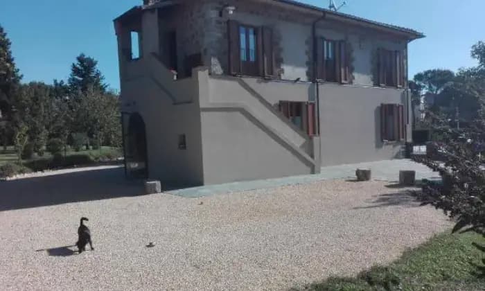 Rexer-Monticiano-Casalecascina-in-vendita-in-via-Adorno-Borgianni-Monticiano-ALTRO