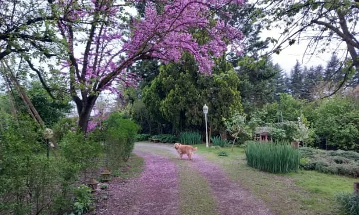 Rexer-Alessandria-GIARDINO