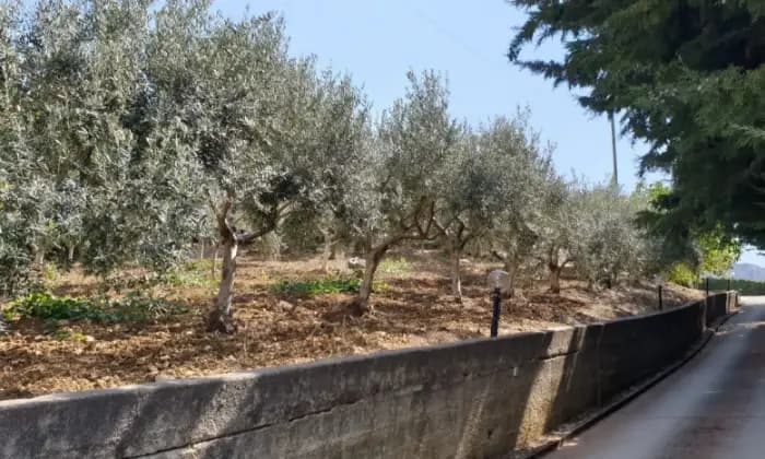 Rexer-Carini-Vendesi-villa-in-contrada-ginestra-Terreno