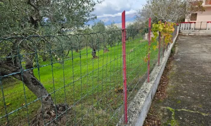 Rexer-Castrovillari-Propriet-rustica-in-vendita-in-contrada-Maroglio-GIARDINO