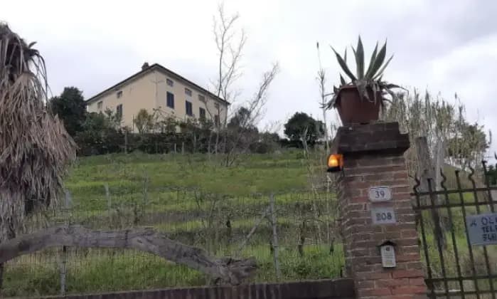 Rexer-Camaiore-Casalecascina-in-vendita-in-via-dei-Bianchini-Giardino