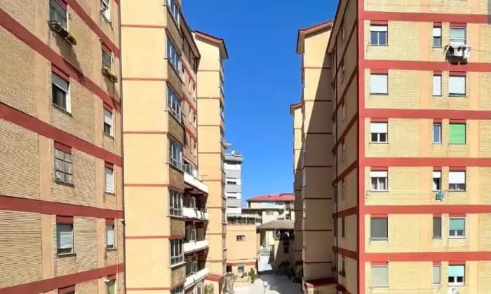 Rexer-Frosinone-Grande-appartamento-da-ristrutturare-Terrazzo
