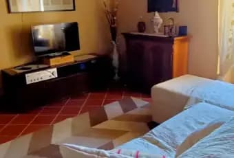 Rexer-Pomarance-SALONE