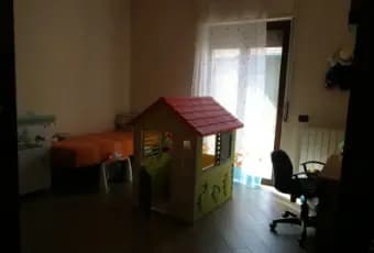 Rexer-Aci-Catena-Altro