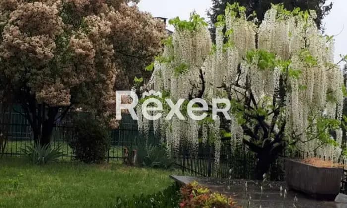 Rexer-Rivoli-Rivoli-Appartamento-mq-con-box-auto-Giardino