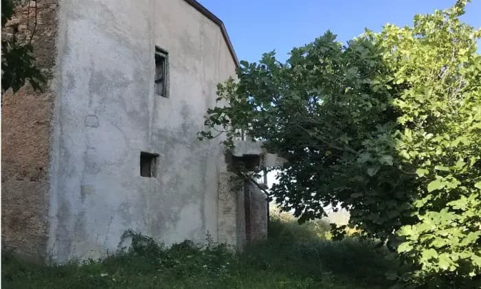 Rexer-Militello-Rosmarino-Vendesi-casa-in-Vittorio-Emanuele-a-Militello-Rosmarino-Giardino