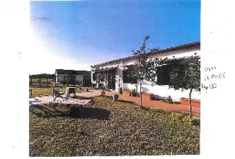 Rexer-Latina-Casale-Altro
