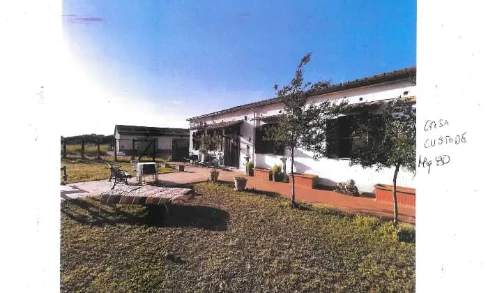 Rexer-Latina-Casale-Altro