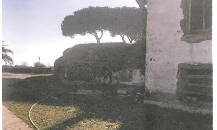 Rexer-Latina-Casale-Altro