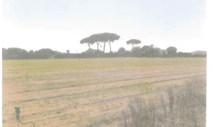 Rexer-Latina-Casale-Altro