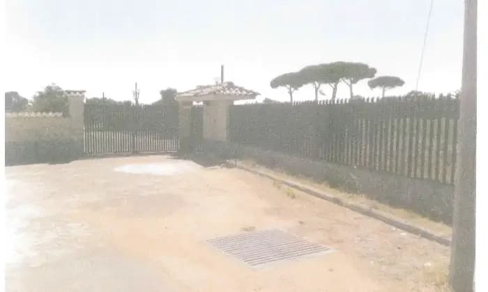 Rexer-Latina-Casale-Altro