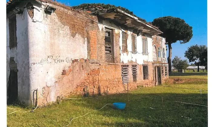 Rexer-Latina-Casale-Altro