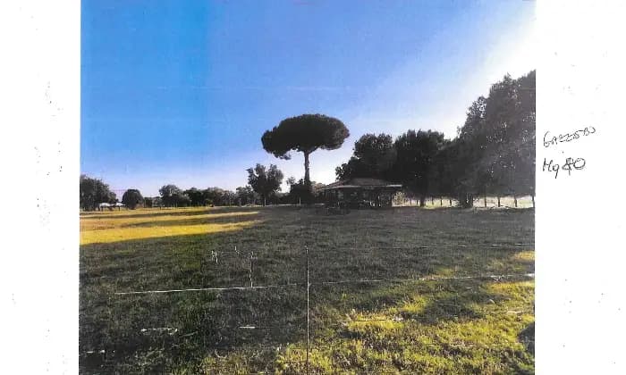Rexer-Latina-Casale-Altro