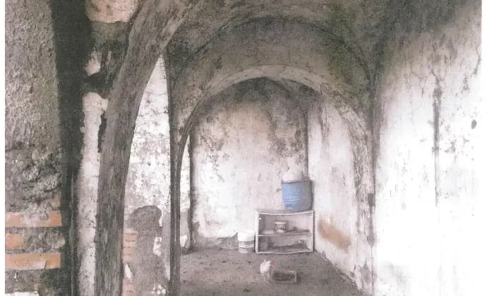 Rexer-Latina-Casale-Altro