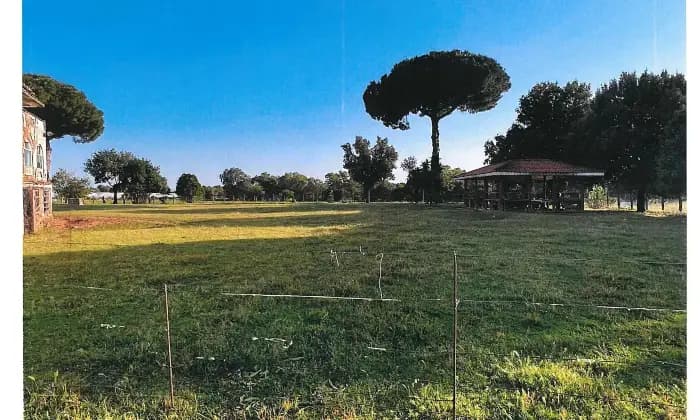 Rexer-Latina-Casale-Altro