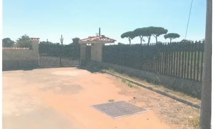 Rexer-Latina-Casale-Altro