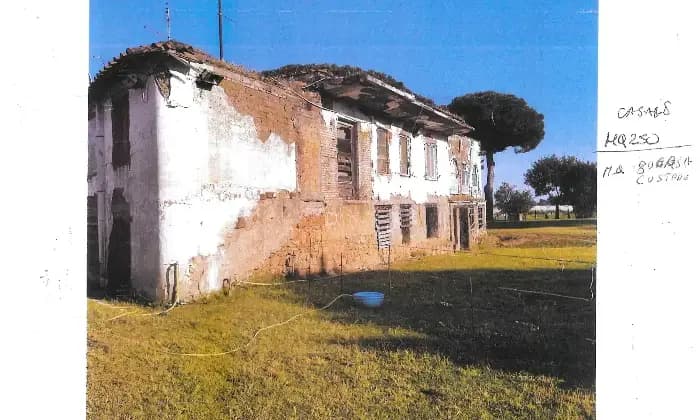 Rexer-Latina-Casale-Altro