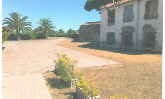 Rexer-Latina-Casale-Altro