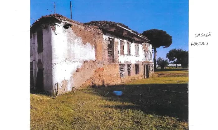 Rexer-Latina-Casale-Altro