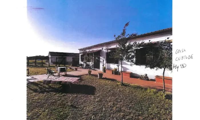 Rexer-Latina-Casale-Altro