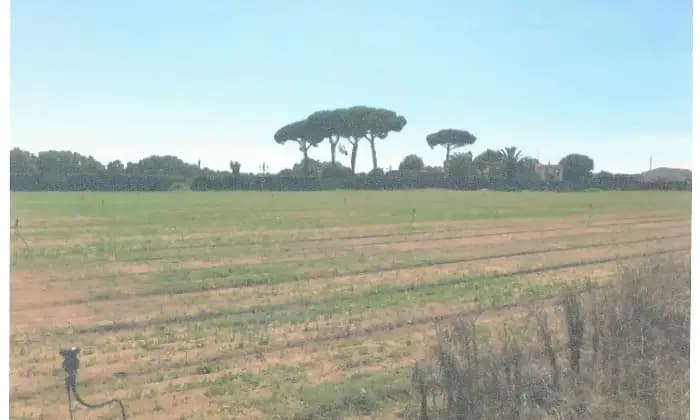 Rexer-Latina-Casale-Altro