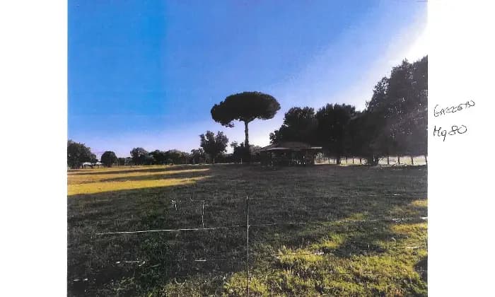 Rexer-Latina-Casale-Altro