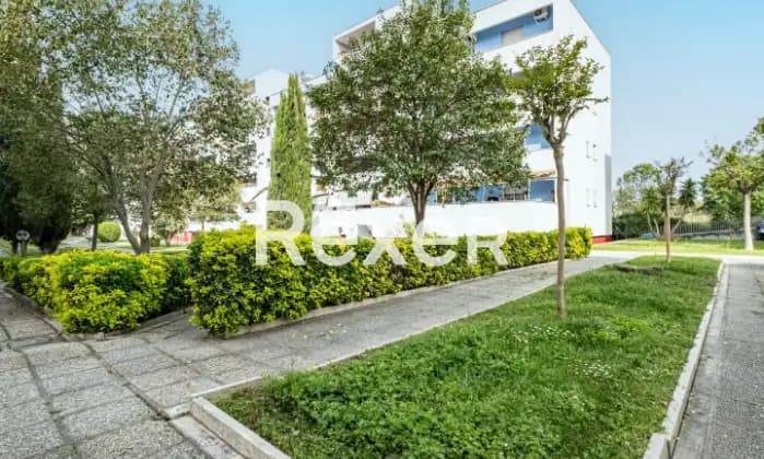 Rexer-Roma-Trilocale-mq-con-cantina-e-posto-auto-Giardino