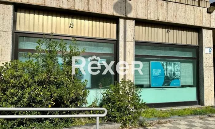 Rexer-Vibo-Valentia-Ex-filiale-bancaria-su-livelli-Terrazzo