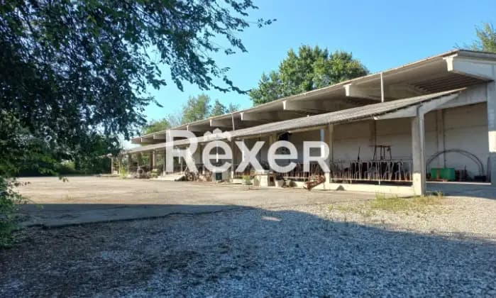 Rexer-Torrile-Villa-storica-di-pregio-con-terreni-fabbricati-accessori-e-palazzina-con-sei-appartamenti-Terrazzo