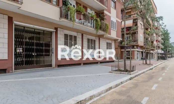 Rexer-Roma-Appartamento-in-Viale-Appio-Claudio-con-box-auto-Giardino