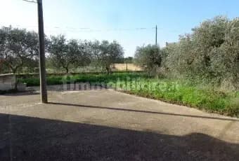 Rexer-Castelvetrano-VENDESI-APPARTAMENTO-PER-RESIDENZA-ESTIVA-EO-INVERNALE-Giardino