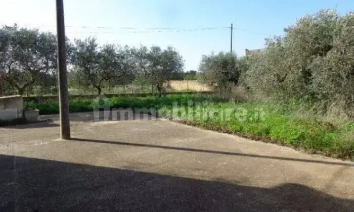 Rexer-Castelvetrano-VENDESI-APPARTAMENTO-PER-RESIDENZA-ESTIVA-EO-INVERNALE-Giardino