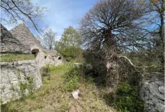 Rexer-Locorotondo-Trullo-in-vendita-in-strada-Comunale-Cerrosa-a-Locorotondo-Terrazzo