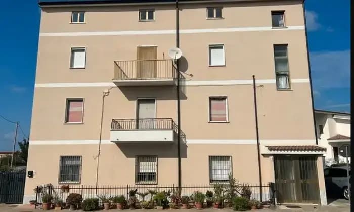 Rexer-Santa-Maria-del-Cedro-Casa-in-vendita-in-via-Paestum-Santa-Maria-del-Cedro-Terrazzo