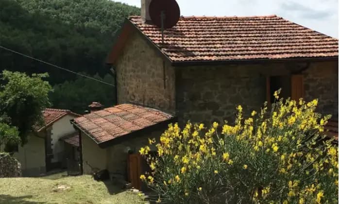 Rexer-Pieve-Santo-Stefano-Vendesi-casa-di-paese-in-vendita-in-Voltraio-Terrazzo