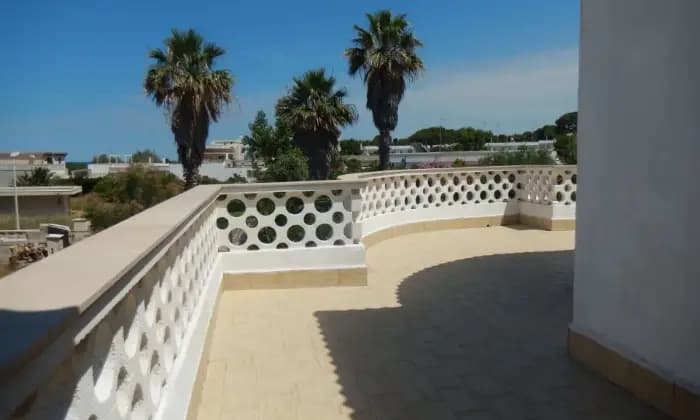 Rexer-Giovinazzo-Vendesi-VILLA-in-Via-Bari-a-Le-Macchie-BA-Terrazzo