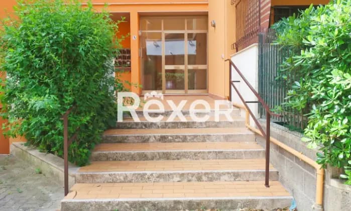 Rexer-Santa-Marinella-Santa-Marinella-Ampio-e-luminoso-bilocale-con-giardino-e-terrazzo-Giardino
