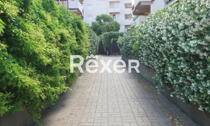 Rexer-Santa-Marinella-Santa-Marinella-Ampio-e-luminoso-bilocale-con-giardino-e-terrazzo-Giardino