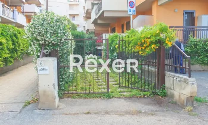 Rexer-Santa-Marinella-Santa-Marinella-Ampio-e-luminoso-bilocale-con-giardino-e-terrazzo-Terrazzo