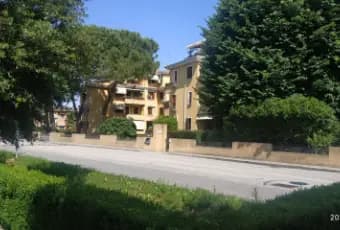 Rexer-Motta-di-Livenza-Appartamento-di-pregio-immerso-nel-verde-esposizione-estsudovest-Giardino