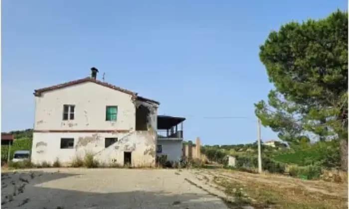 Rexer-Citt-SantAngelo-Propriet-rustica-in-vendita-in-via-Sorripe-a-Citt-SantAngelo-Giardino